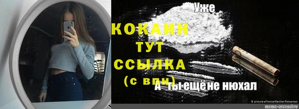 индика Нефтегорск