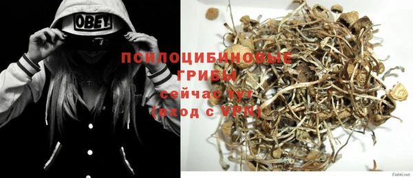 мдпв Наволоки